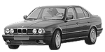 BMW E34 C1978 Fault Code